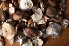 warm mushroom salad with hazelnuts