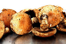 mushroom bourguignon