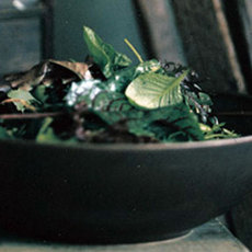 Mesclun Salad