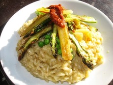 Roasted vegetable and cheddar risotto with whipped sun-dried tomatoes